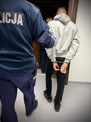 Tryb przyspieszony i wniosek o deportację dla sprawcy kradzieży.