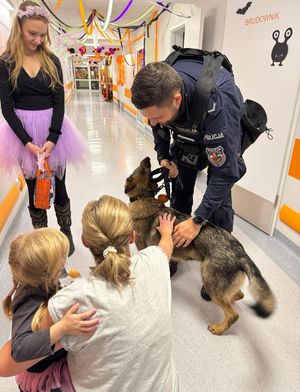 Dzień Dyni z policjantami w Szpitalu Dziecięcym Polanki.
Nazwa