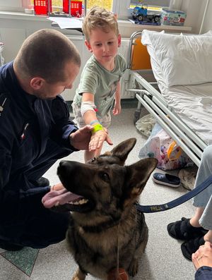Dzień Dyni z policjantami w Szpitalu Dziecięcym Polanki.