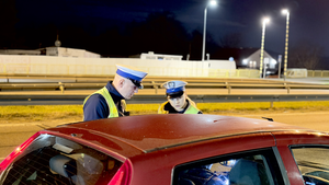 policjanci podczas kontroli drogowych