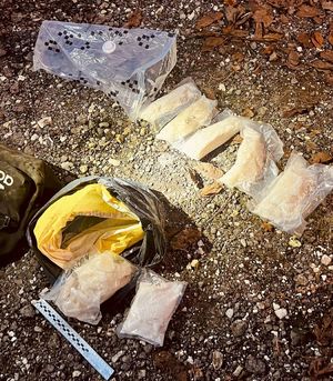 15 kilogramów narkotyków o czarnorynkowej wartości miliona złotych.