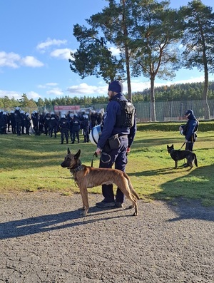 policjanci podczas zabezpieczenia meczu