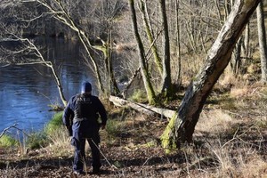 Odpowie za zabicie psów.