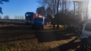 Odpowie za zabicie psów.