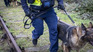 Pomorscy policjanci w ramach ogólnopolskiej operacji „TOR”