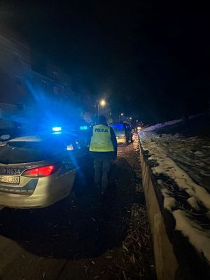 policjanci podczas kontroli drogowej