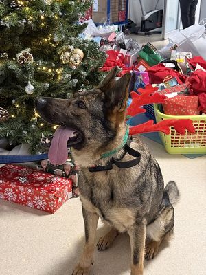 Kolejna akcja mikołajkowa gdańskich policjantów.