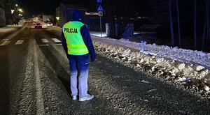 Policjanci pomogli rannemu łabędziowi