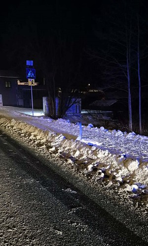 Policjanci pomogli rannemu łabędziowi