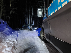 Pościg zakończył uderzając w drzewo. Był poszukiwany, pijany i miał przy sobie narkotyki