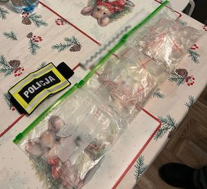 50-latka odpowie za posiadanie znacznej ilości narkotyków.