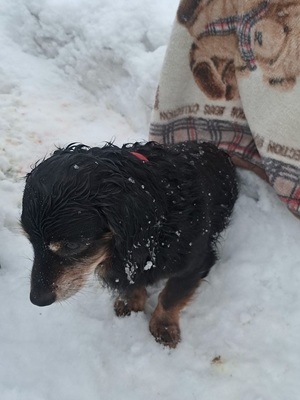 policjantka z uratowanym psem