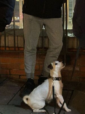 Wspólne działania policjantów z funkcjonariuszami KAS.