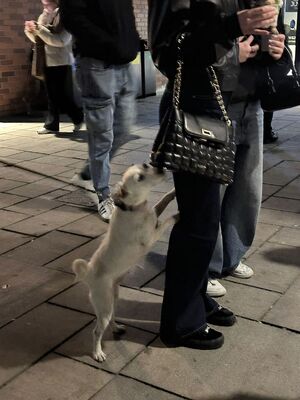 Wspólne działania policjantów z funkcjonariuszami KAS.