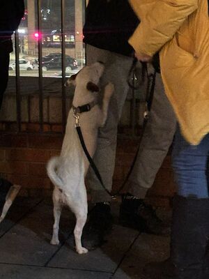 Wspólne działania policjantów z funkcjonariuszami KAS.