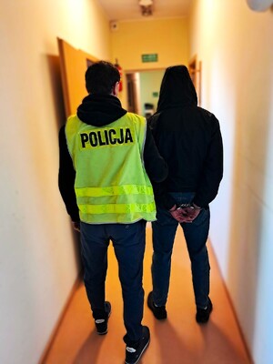 Zatrzymanie 17-latka – na wniosek prokuratora trafił do aresztu.