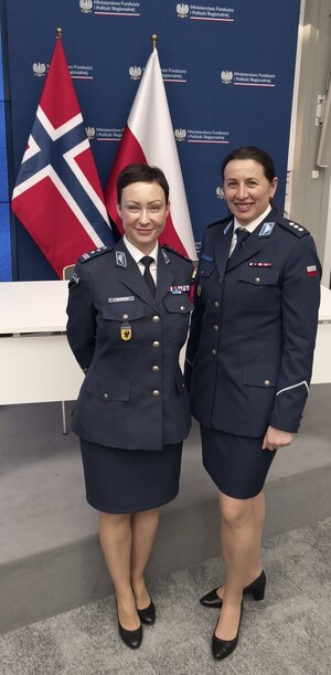 Projekt "Napęd na cztery łapy"