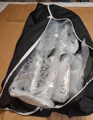 Gdańscy policjanci zabezpieczyli prawie 20 kg narkotyków o czarnorynkowej wartości ponad 1 mln. zł.