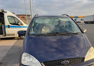 Kierował mimo sądowego zakazu, pod wpływem narkotyków i był poszukiwany – policjanci uniemożliwili mu dalszą jazdę