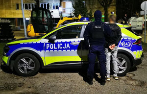 zdjęcie przedstawia policjanta z zatrzymanym na tle radiowozu