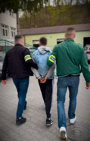 Gdańscy policjanci zatrzymali 20-latka, który znęcał się nad kotem