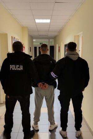 Areszt za posiadanie znacznej ilości narkotyków w recydywie