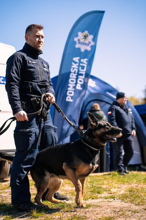Pomorska Policja na pikniku z okazji Dnia Psa Ratowniczego