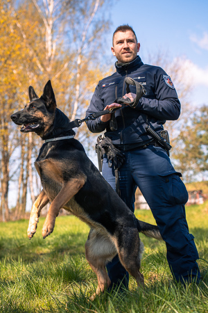 Pomorska Policja na pikniku z okazji Dnia Psa Ratowniczego