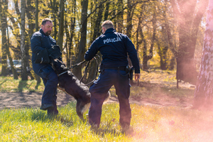Pomorska Policja na pikniku z okazji Dnia Psa Ratowniczego