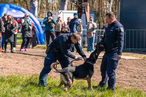 Pomorska Policja na pikniku z okazji Dnia Psa Ratowniczego