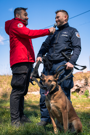 Pomorska Policja na pikniku z okazji Dnia Psa Ratowniczego