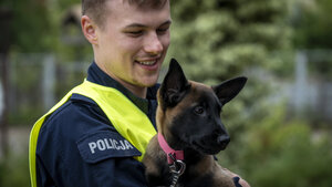 Grupowe doskonalenie sprawności użytkowej psów służbowych województwa pomorskiego.