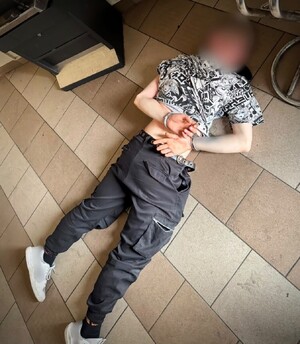 zdjęcie przedstawia policjanta z zatrzymanym oraz zaopiekowanego psa