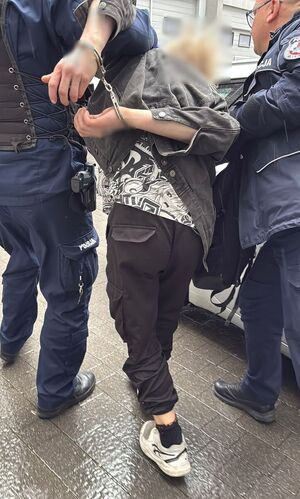 zdjęcie przedstawia policjanta z zatrzymanym oraz zaopiekowanego psa