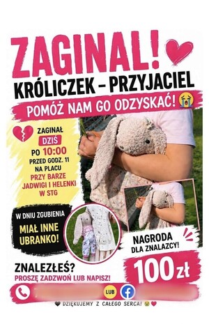 Szczęśliwy finał poszukiwań. Pluszowy przyjaciel wraca do 6-letniej właścicielki.