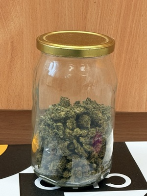 Policjanci zlikwidowali plantację marihuany.