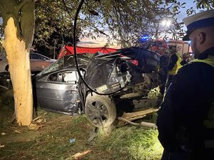 Śmiertelny wypadek drogowy w Nowym Dworze. Kierujący Fordem uderzył w drzewo.