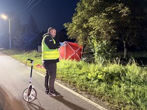 Śmiertelny wypadek drogowy w Nowym Dworze. Kierujący Fordem uderzył w drzewo.