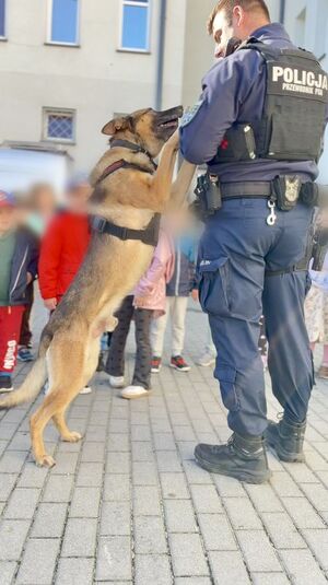 Niebawem pierwsza klasa -przedszkolaki z „zerówki” odwiedziły wejherowską komendę i uczyły się zasad bezpieczeństwa