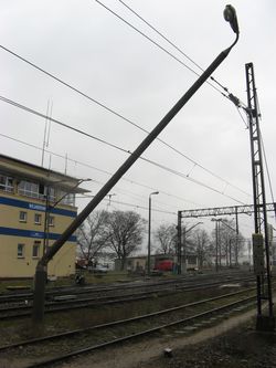 Zdjecie